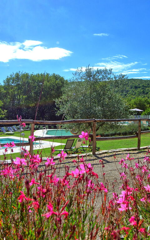 Borgo Mulignone: Garten, Schwimmbad