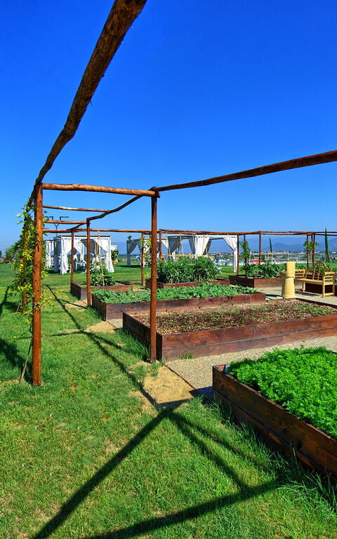 Il Sole Di Vino: Aktivitäten, Garten