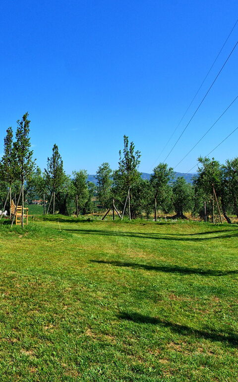 Il Sole Di Vino: Ansichten, Garten