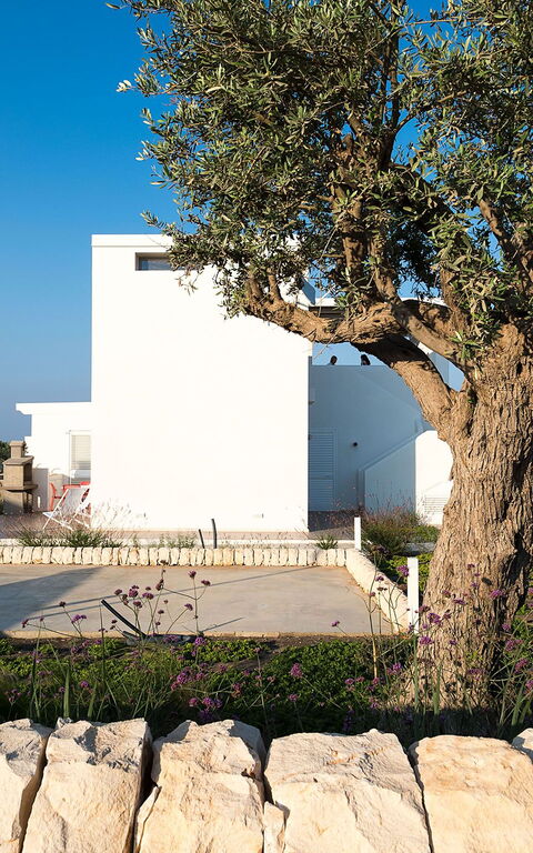 Villa San Lorenzo Palma: Draussen, Garten