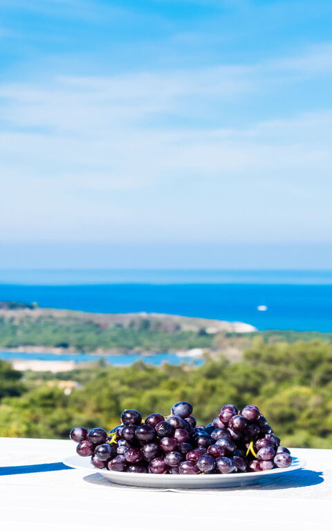 Villa Arete: Ansichten, Garten