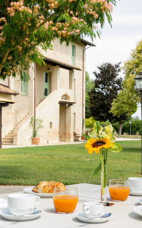 Villa Apollinare: Garten