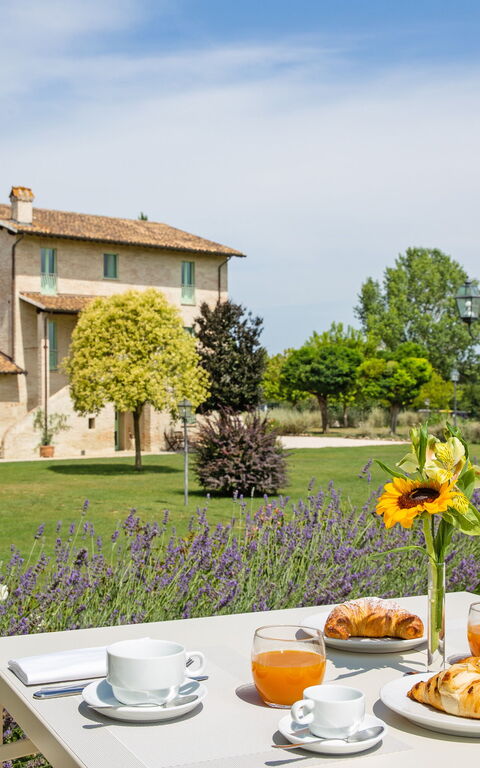 Villa Apollinare: Draussen, Garten