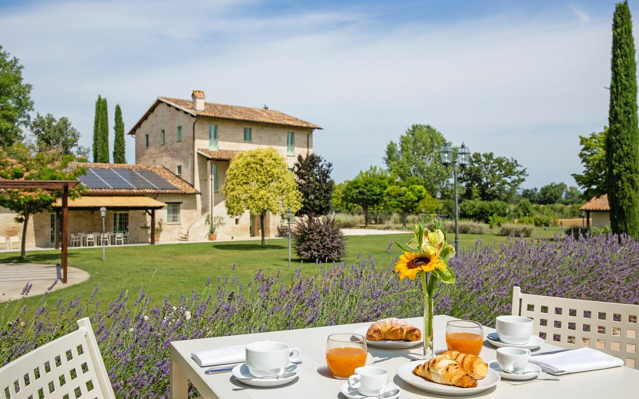 Villa Apollinare: Draussen, Garten