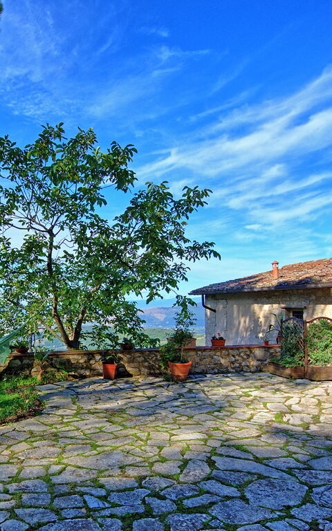 Villa Ancora: Draussen, Garten