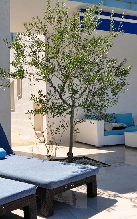 Villa Mermaid: Außen, Balkon / Terrasse / Patio, Draussen