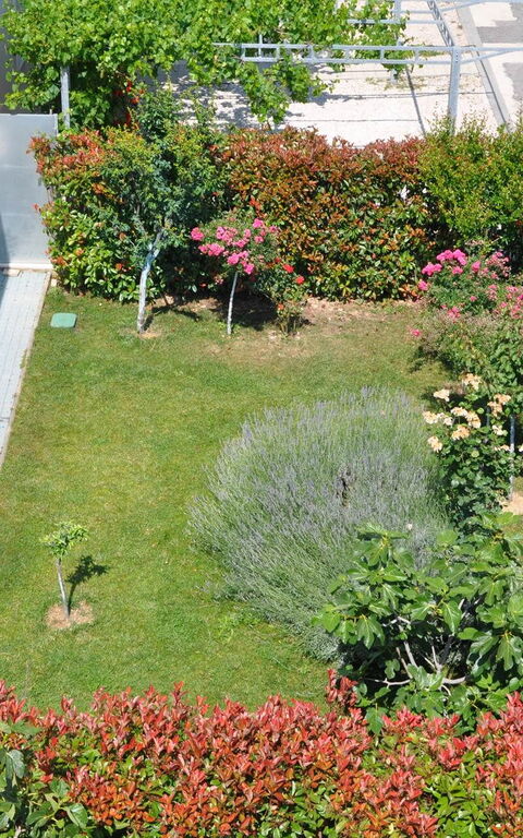 Villa Mermaid: Außen, Draussen, Garten