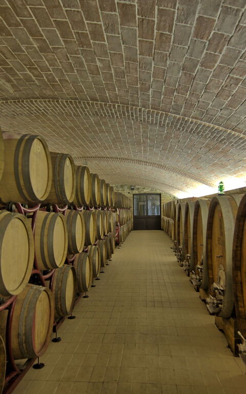 Villa Le Buche: Aktivitäten, Ausstattung