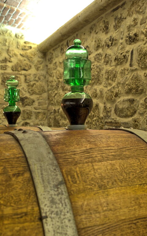 Villa Le Buche: Aktivitäten, Ausstattung