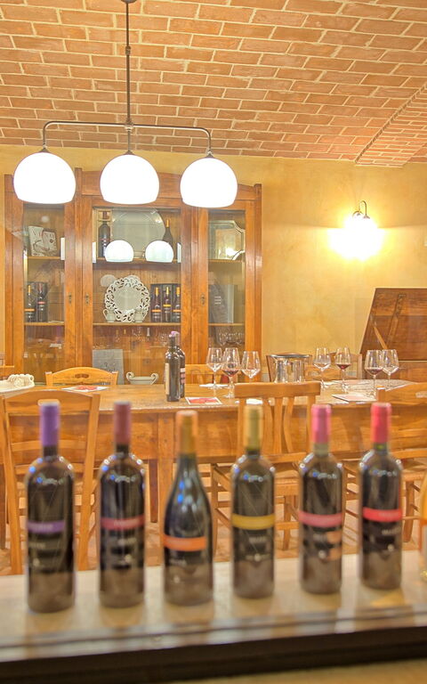 Villa Le Buche: Aktivitäten