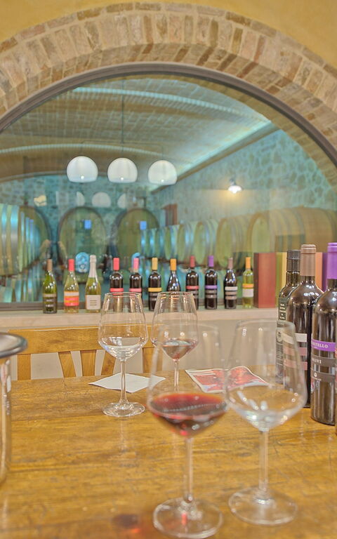 Villa Le Buche: Aktivitäten