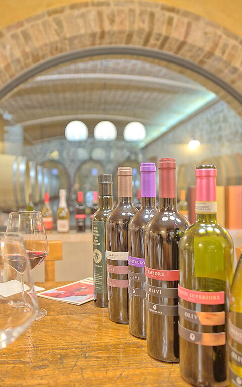 Villa Le Buche: Aktivitäten, Ausstattung