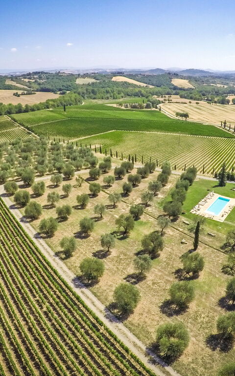 Villa Le Buche: Ansichten, Sommer