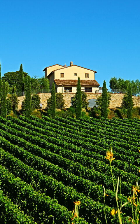 Villa Le Buche: Ansichten, Draussen, Sommer