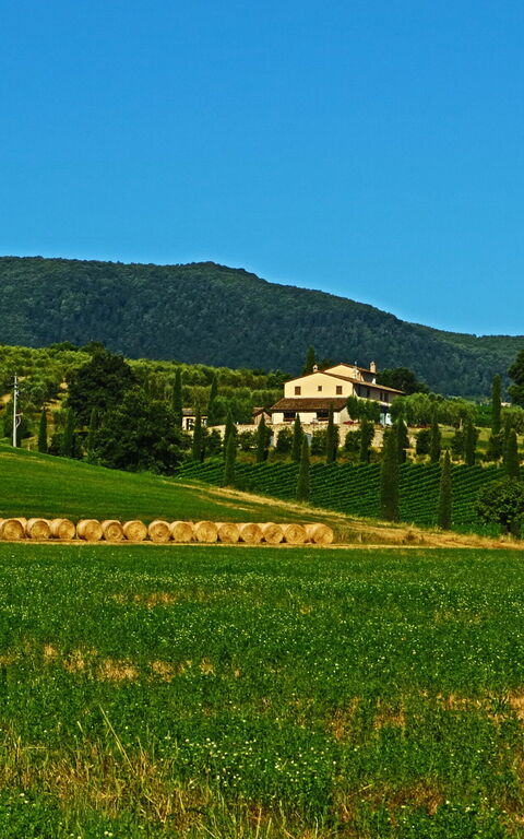 Villa Le Buche: Ansichten