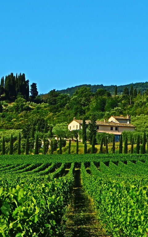 Villa Le Buche: Ansichten