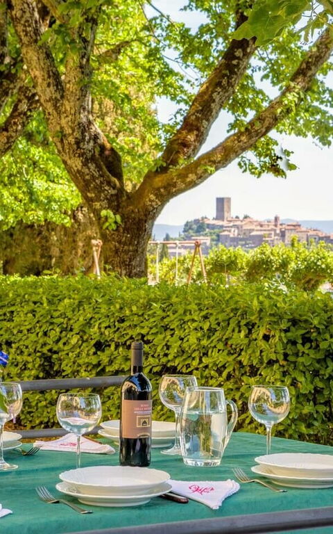 Villa Sorbaiano: Garten