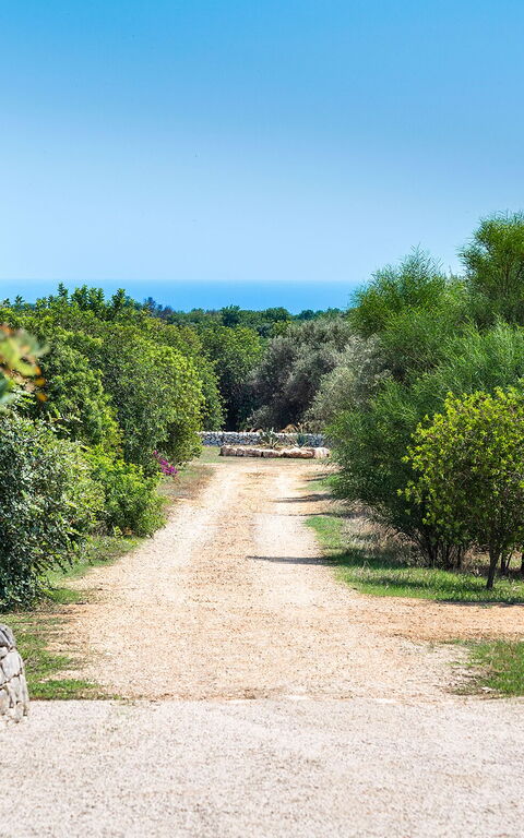 Villa Dimora Pura: Draussen, Garten