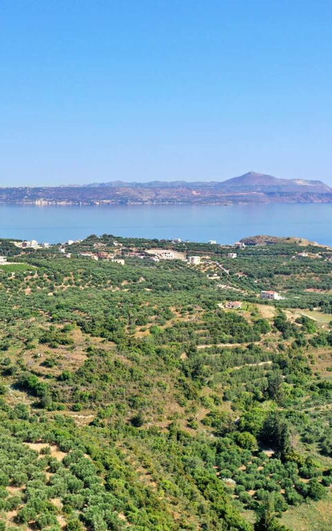 Villa Eftychia: Ansichten