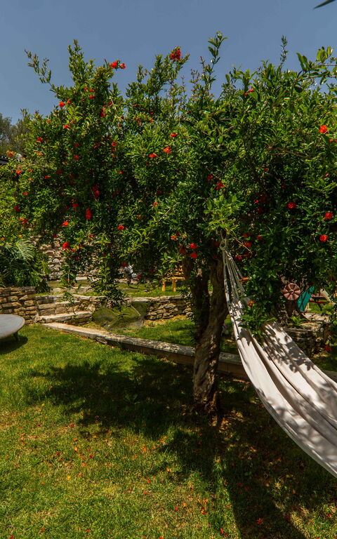 Villa Eftychia: Draussen, Garten