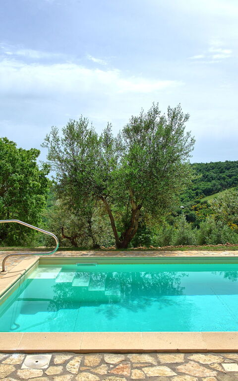 Villa Collina: Schwimmbad