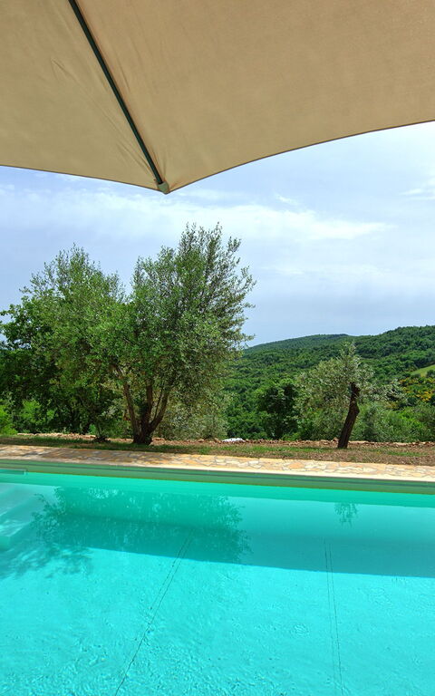 Villa Collina: Schwimmbad