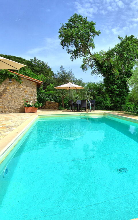 Villa Collina: Schwimmbad