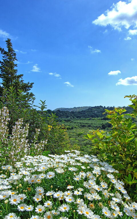 Villa Vicilla: Draussen