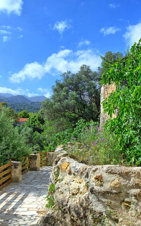 Villa Vicilla: Draussen