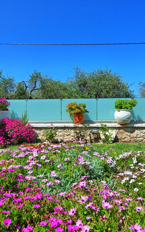 Villa Elaia: Draussen, Garten