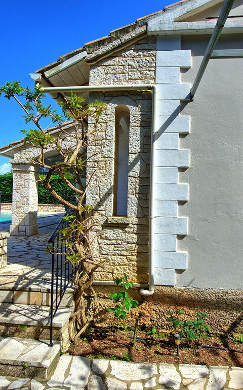 Villa Dimitris: Draussen, Garten