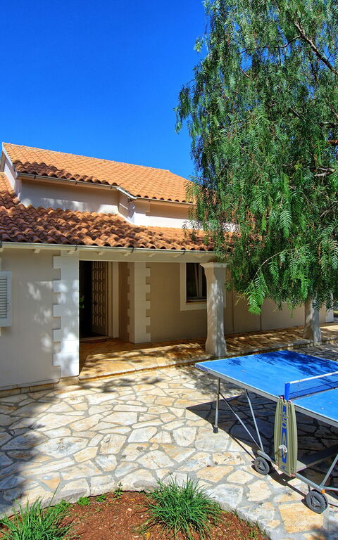 Villa Dimitris: Außen, Garten