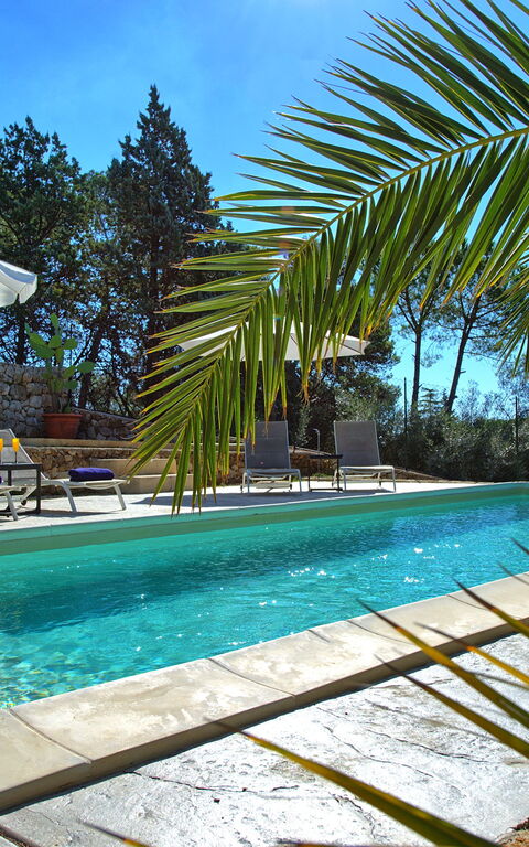 Nerodavola: Draussen, Schwimmbad, Sommer