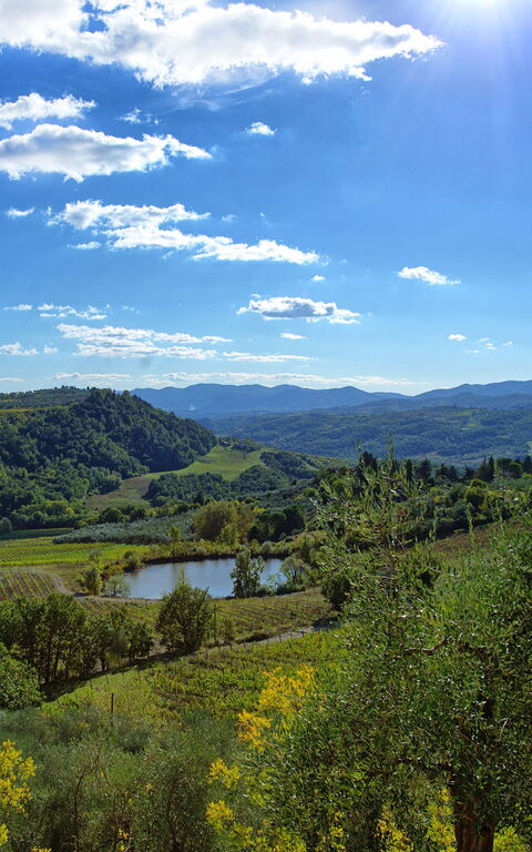 San Guido: Ansichten, Draussen