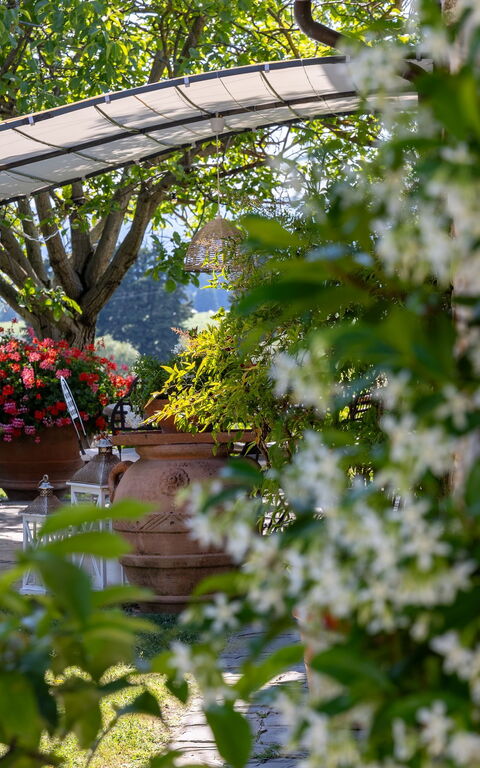 San Guido: Draussen, Garten