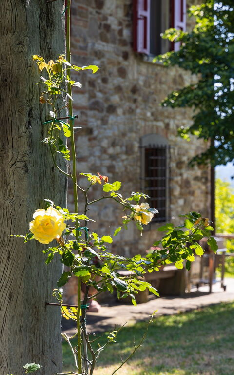 San Guido: Außen, Draussen, Garten