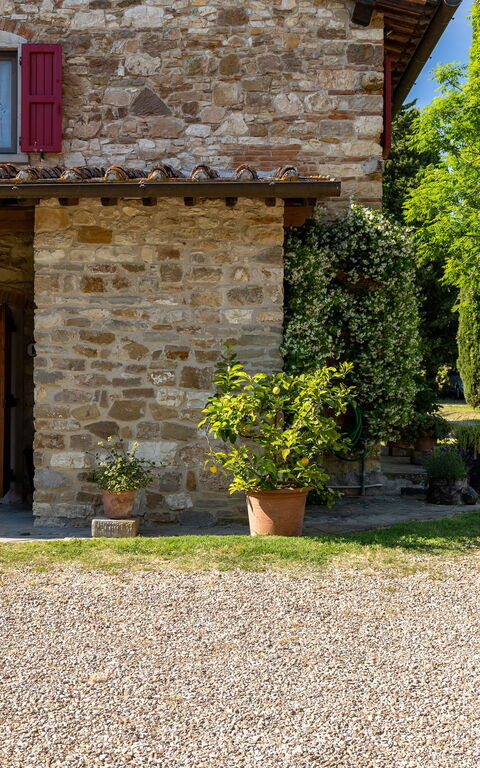 San Guido: Außen, Draussen, Garten