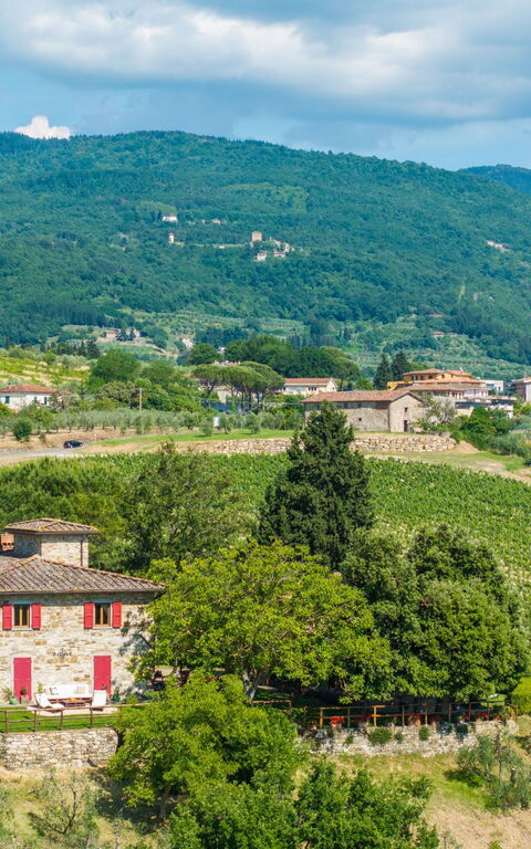 San Guido: Ansichten, Draussen