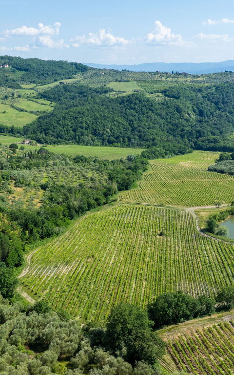 San Guido: Ansichten, Draussen