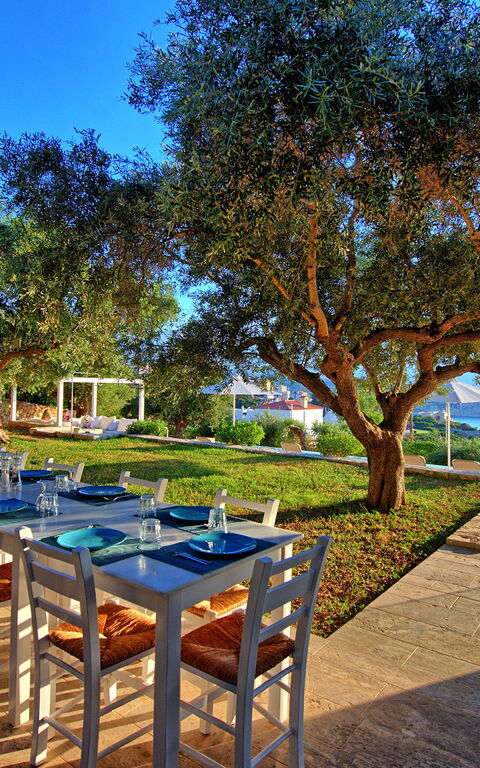 Villa Bluewhite: Ansichten, Draussen, Garten, Schwimmbad, Sommer