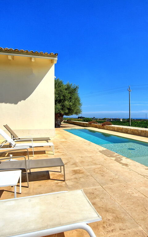 Tenuta Olearum: Draussen, Schwimmbad, Sommer