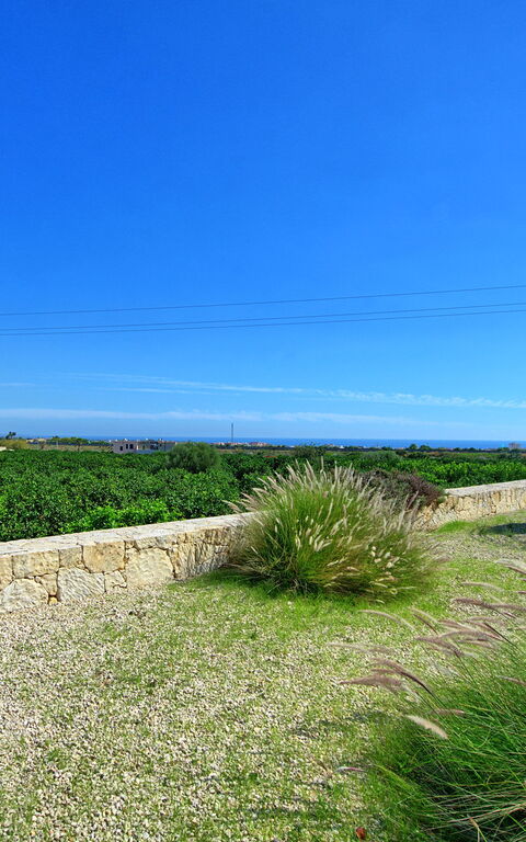 Tenuta Olearum: Draussen, Garten, Sommer