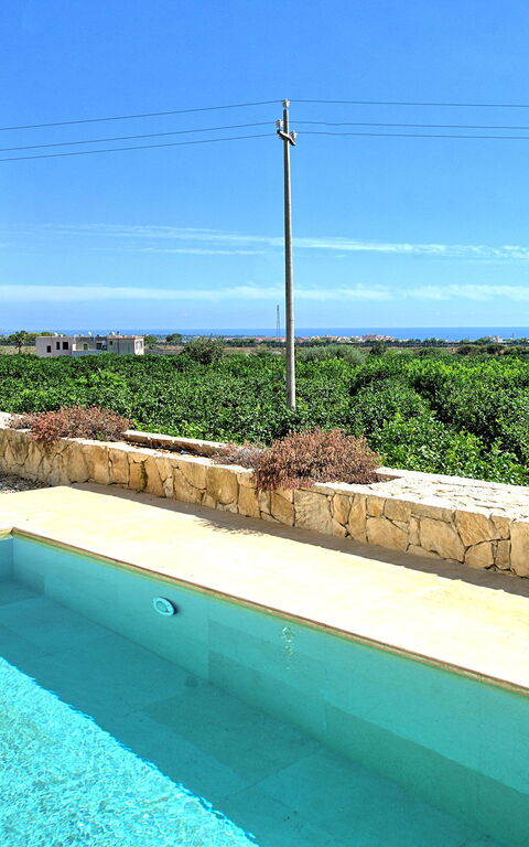 Tenuta Olearum: Draussen, Schwimmbad, Sommer