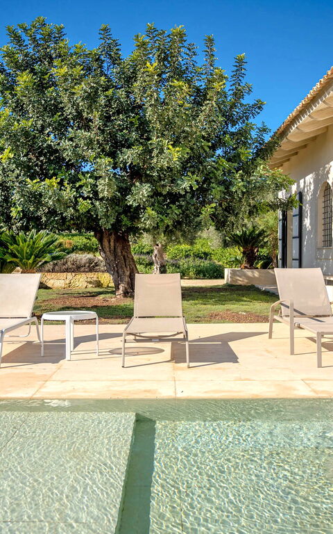 Tenuta Olearum: Schwimmbad