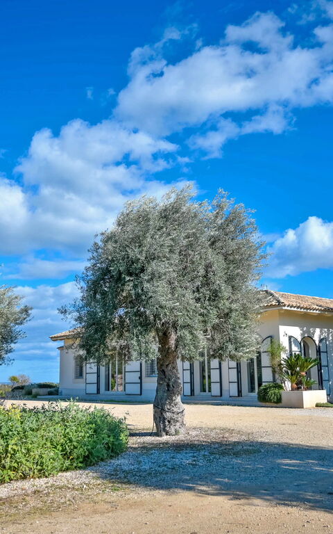 Tenuta Olearum: Garten, Sommer