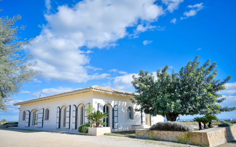 Tenuta Olearum: Garten