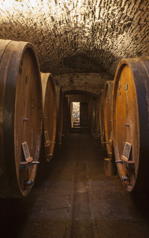 Villa Paneretta: Aktivitäten, Ausstattung