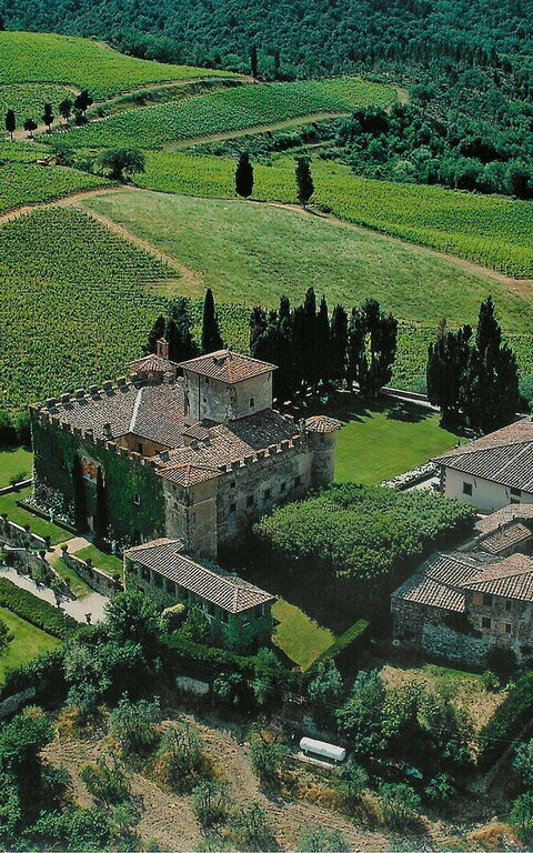 Villa Paneretta: Draussen