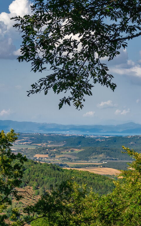 Villa Lucarella: Draussen