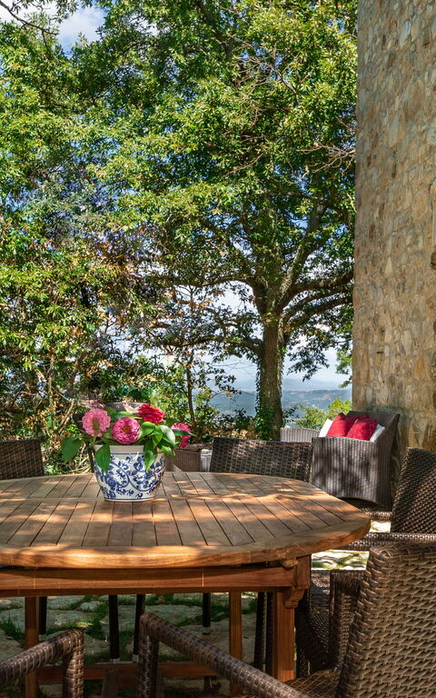 Villa Lucarella: Außen, Draussen, Garten